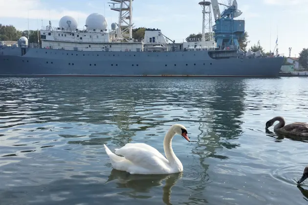 Прогулка по побережью Балтийского моря — Балтийск, Янтарный, Светлогорск — фото 3