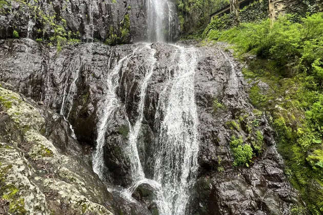 Волшебные водопады горной Аджарии — фото 3