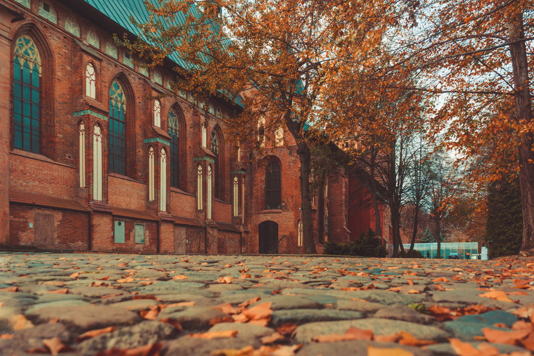 Три эпохи острова Канта — фото 6