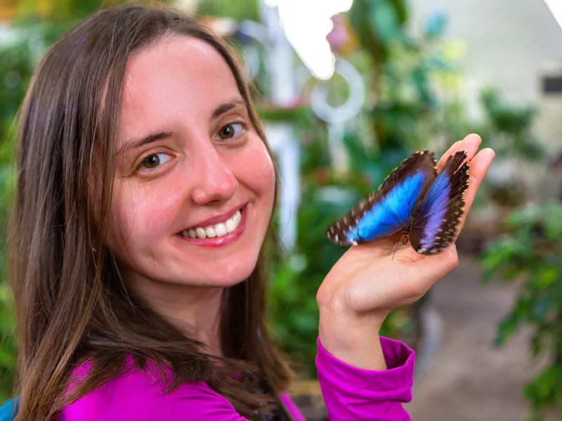 Мир бабочек: входной билет в Dubai Butterfly Garden — фото 3, Дубай | Покатаем