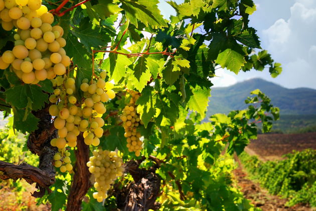 Виды Дербент: старинная цитадель и изысканное вино