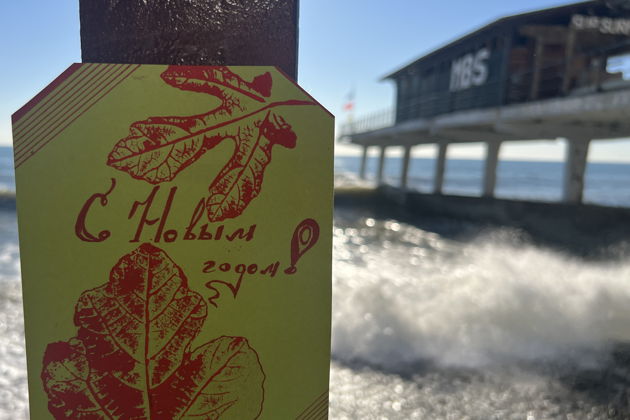 Парк Ривьера и мастер-класс по изготовлению новогодней открытки