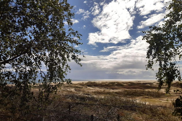 Виды Куршская коса и ЗЕЛЕНОГРАДСК: Легенды моря