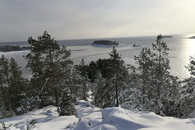 Зимняя прогулка на аэросанях на остров Валаам — фото 3