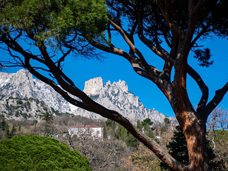 Воронцовский парк: фотопрогулка по следам Айвазовского - экскурсия в Алупка, Россия