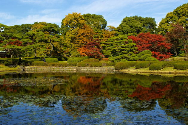 Виды Токио: аудиоэкскурсия по волшебным садам Императорского дворца