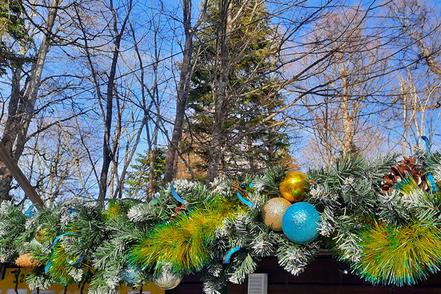 Виды Новый Год в Адыгее