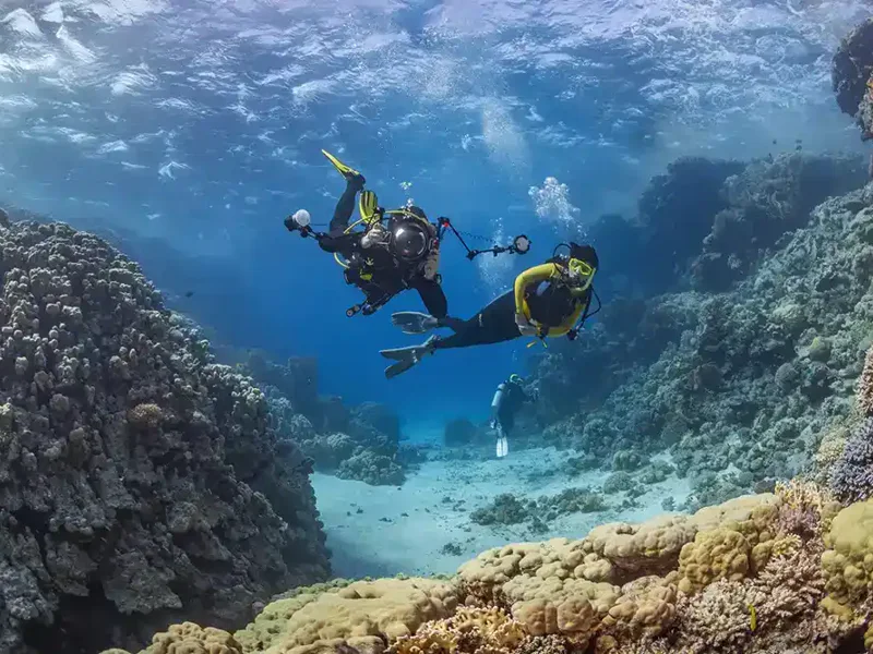 Дайвинг в Кемере из Анталии — морское путешествие с погружением — фото 3, Анталья | Покатаем