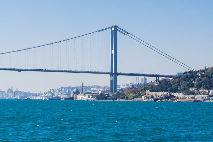  Bosphorus Cruise - photo 5
