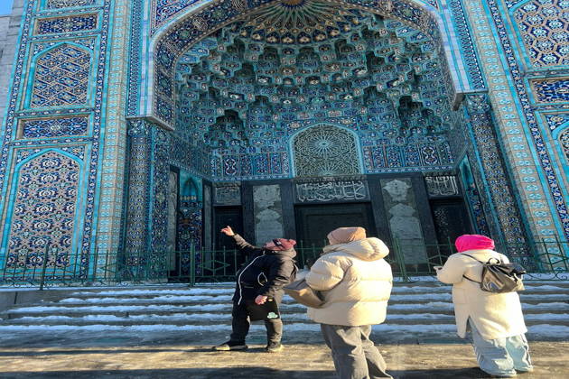 Знакомство с Петроградкой