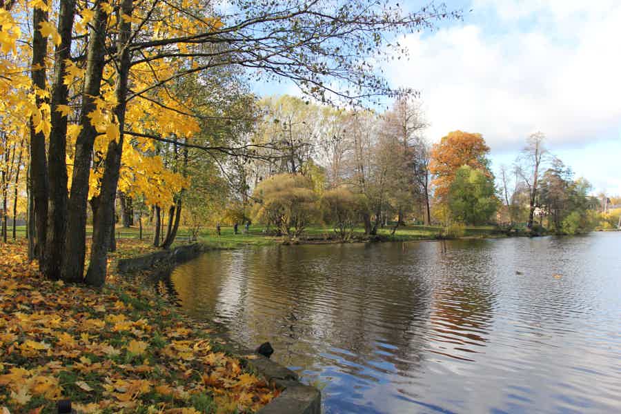 Озерки и Шуваловский парк. Прогулка по живописным местам на севере Петербурга - фото 1