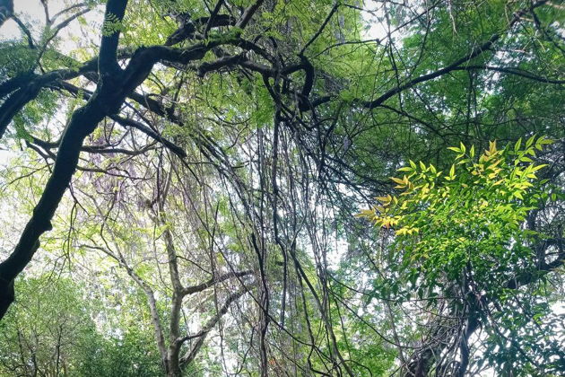 Виды Крепость Петра и Ботанический сад