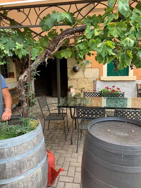 Аутентичная винодельня: знакомство с винами Вальполичелла и Амароне  - фото 4