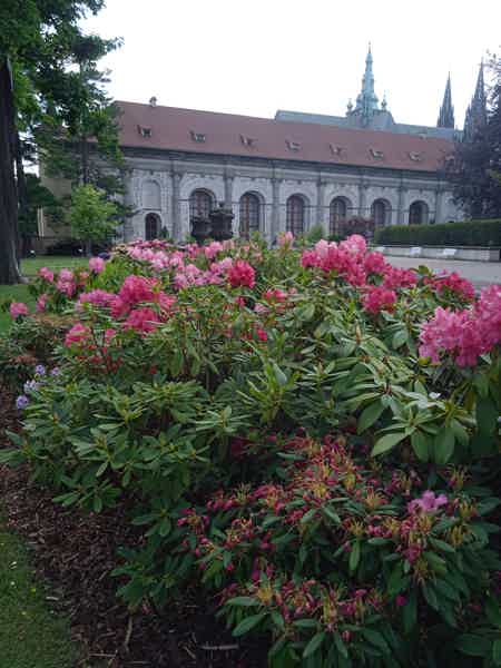 Первое знакомство с прекрасной Прагой - фото 3