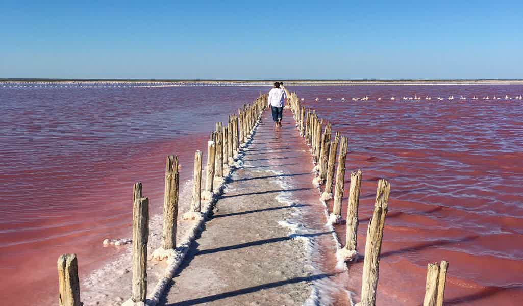 Фотопрогулка на розовое озеро Сасык-Сиваш - фото 7