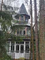 Экскурсия "Комарово (Лесная сторона). От старинных дач до "будки" Ахматовой." - фото отзыва 2