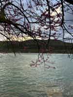 Экскурсия "Абрау-Дюрсо: горы, вино и незабываемые впечатления" - фото отзыва 4