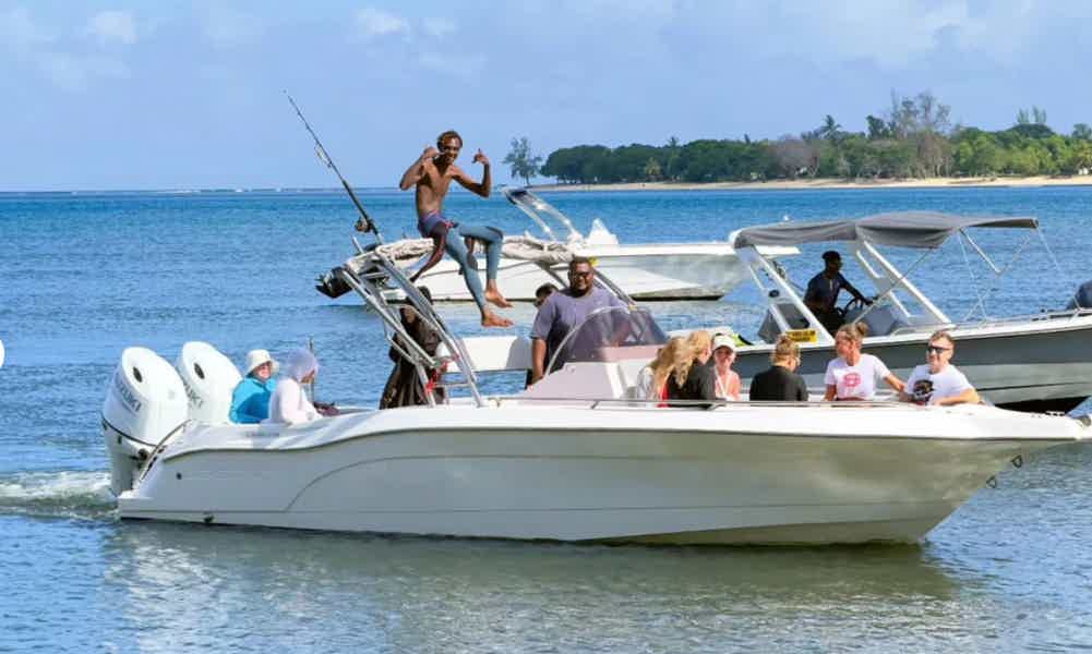 Подводный мир Маврикия: кораллы, рыбы и дельфины - фото 4