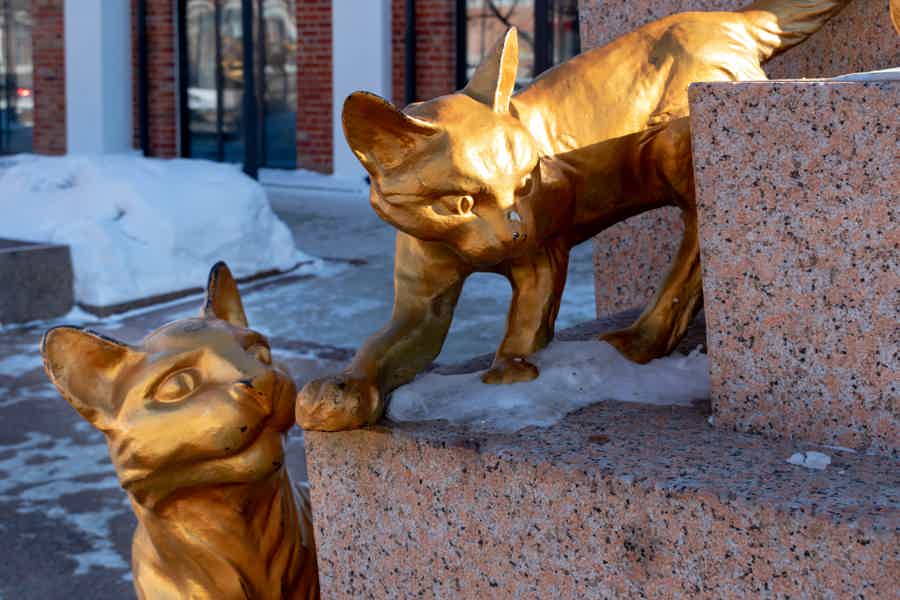 Сборная обзорная экскурсия «Огни вечерней Тюмени» - фото 6