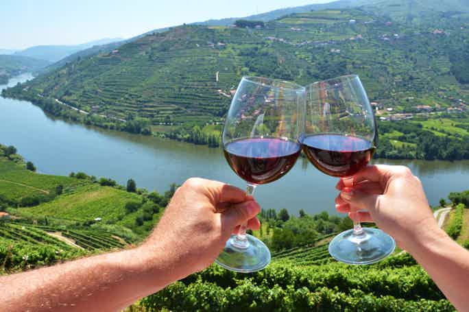Douro and Port Wine Pedestrian Tour w/ Tastings