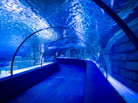 Antalya Aquarium