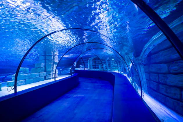 Antalya Aquarium