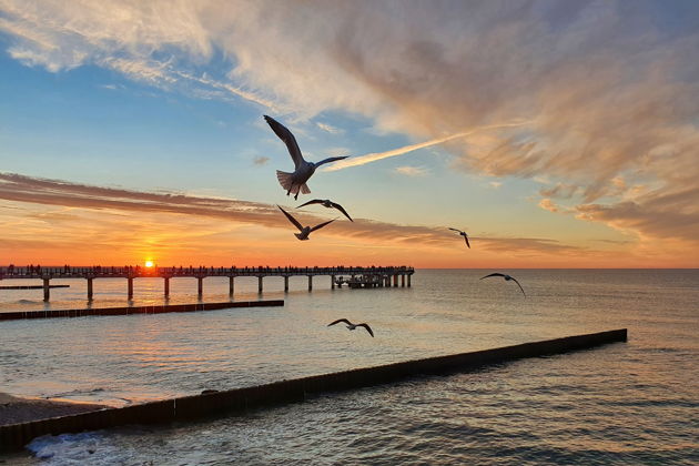 Виды «Балтийский вояж»: Светлогорск и Зеленоградск