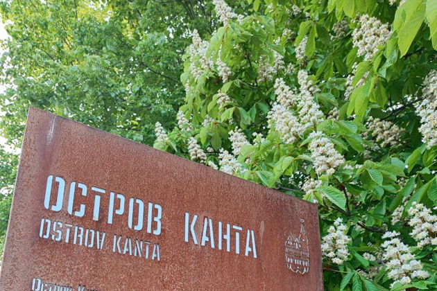 Виды Калининград: история, легенды и волшебные хомлины!