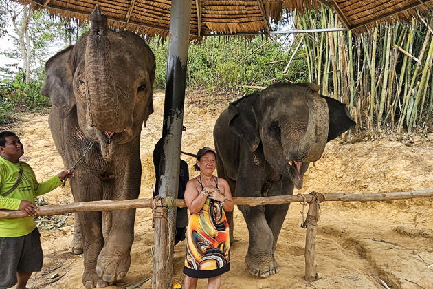Фото к экскурсии "Слоновий рай: дружба, купание и забота"