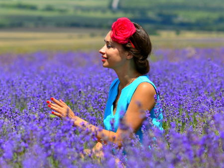 Маковые поля