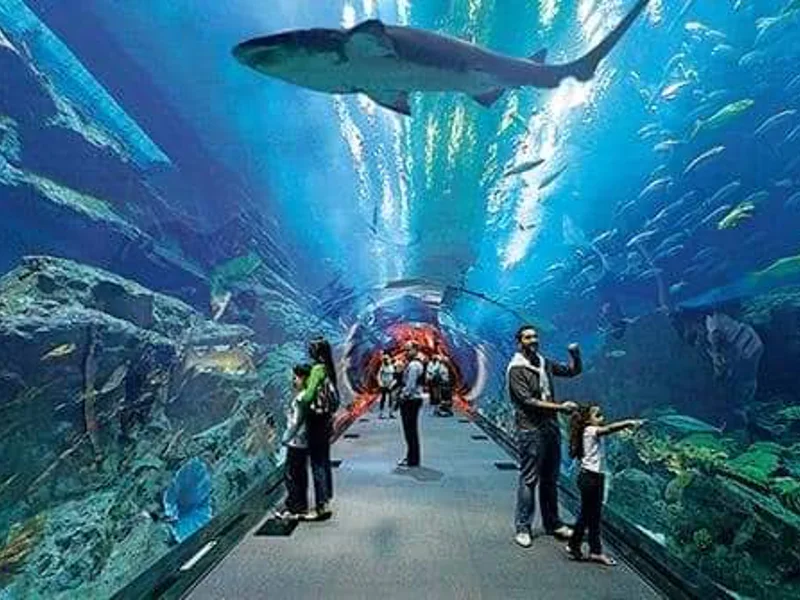 Гранд Аквариум: Красное море за стеклом — фото 4, Хургада | Покатаем