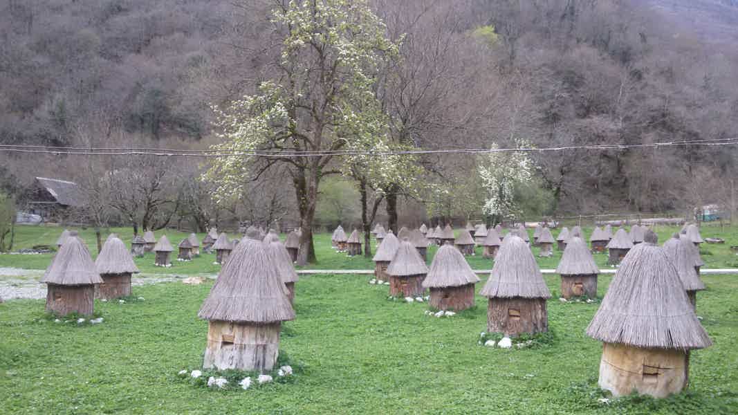 Абхазское застолье: гастрономическая экскурсия по Гагре - фото 4