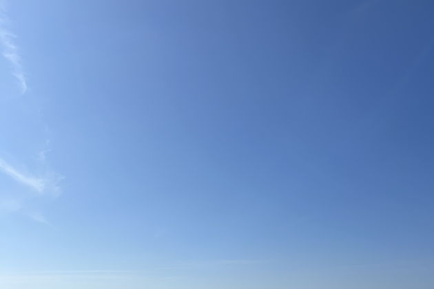 Фото к экскурсии  Джунгли зовут!