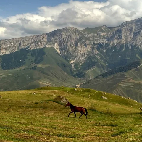 Два ущелья Кабардино-Балкарии: Чегемское и Баксанское 