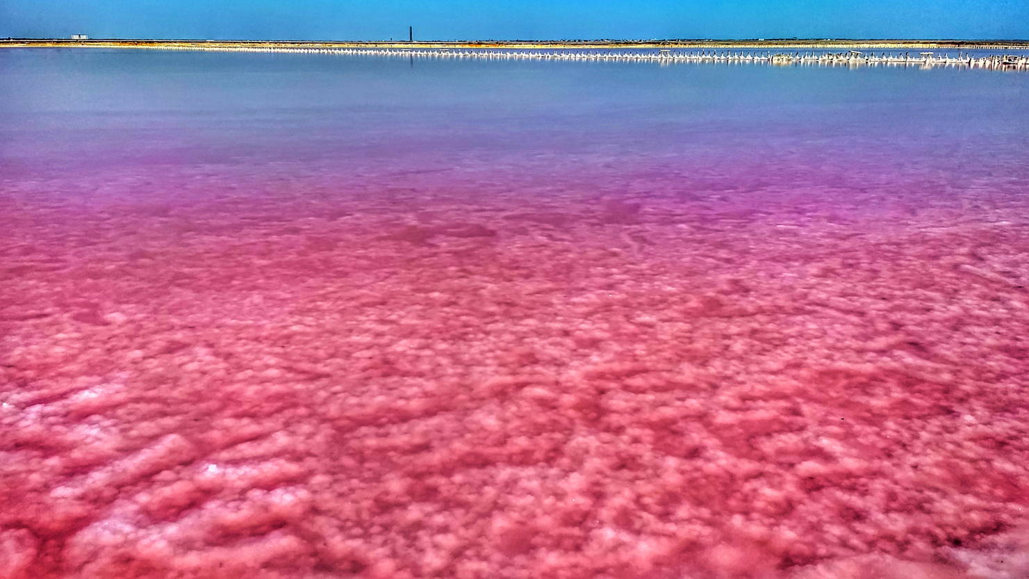 Евпатория розовое озеро летом
