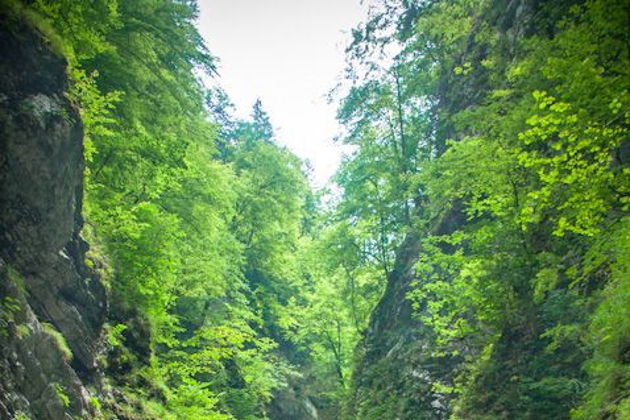 Виды Тайны подземного мира и изумрудные воды Мартвили