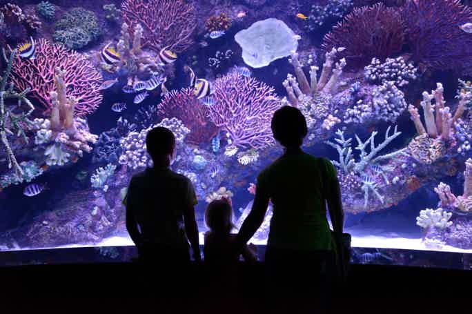 Экскурсия в аквариум Антальи из Кемера
