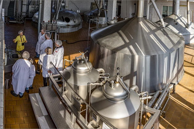 Экскурсия на пивоварню с дегустацией пива и закусок собственного производства