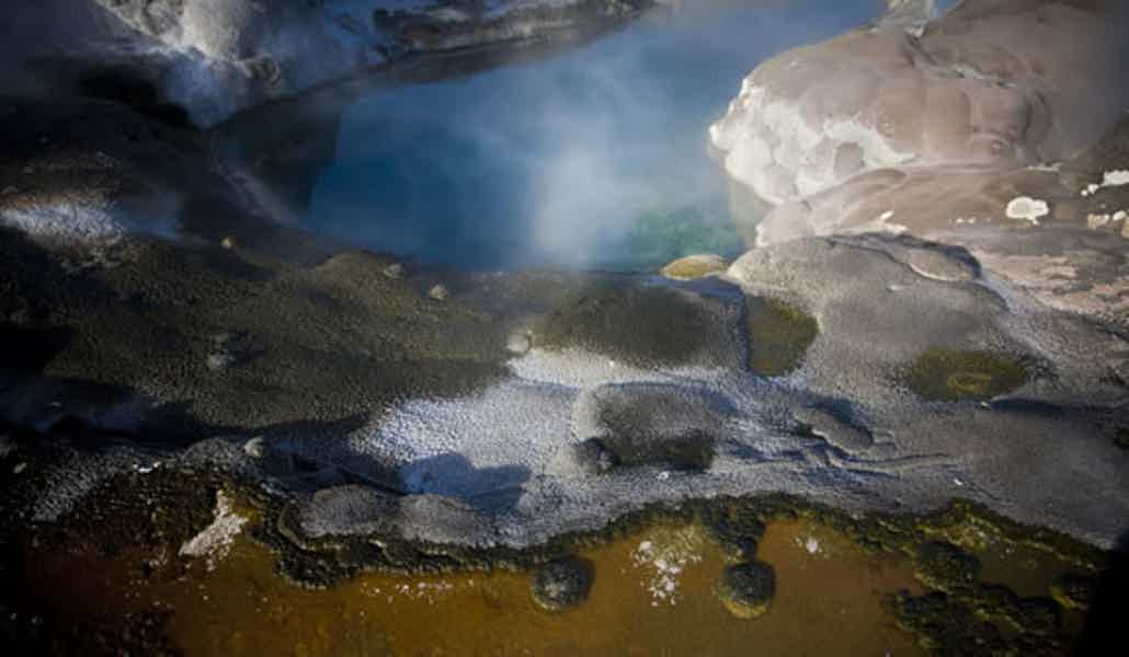 Экскурсия в геотермальный парк Те Пуия (Te Puia). Роторуа. - фото 27