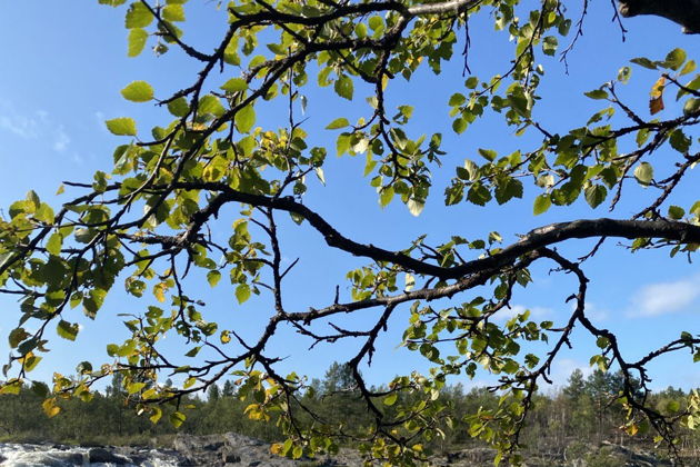 Виды Из Мурманска — к фьордам и водопадам Кольского полуострова 