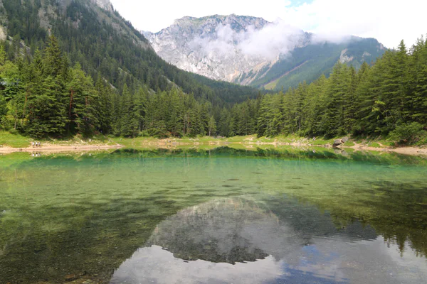 Private Walking Tour to the Alpine lake Grüner see (Green Lake) from Vienna — photo 3, Vienna | Pokataem