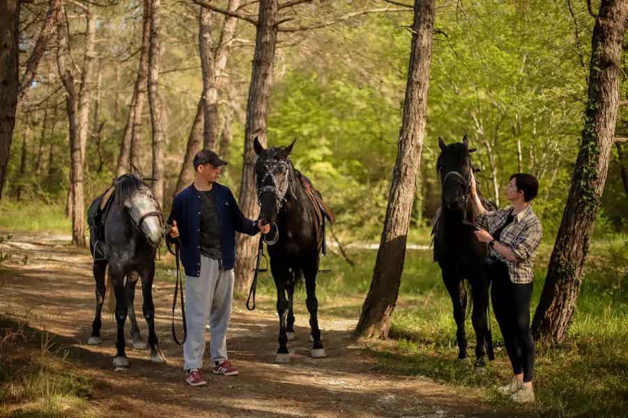 Прогулка на лошадях по горам Геленджика - фото 2