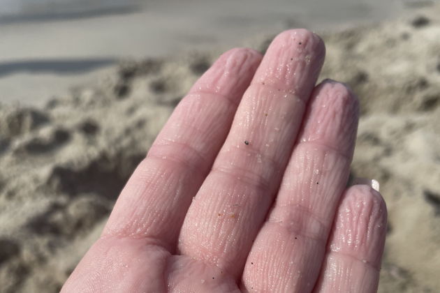 Виды Зеленоградск: замок Шаакен, сыроварня Шаакендорф, Замок Нессельбек