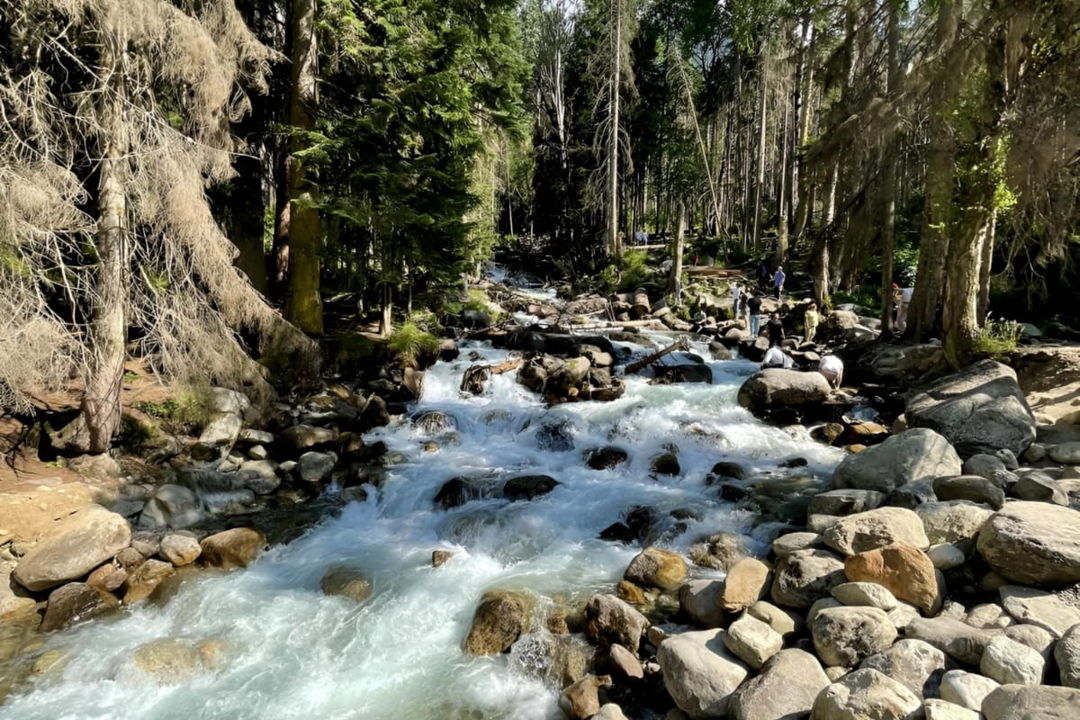 Домбай, канатная дорога, Сырные пещеры и Уллу-Муруджу — фото 4