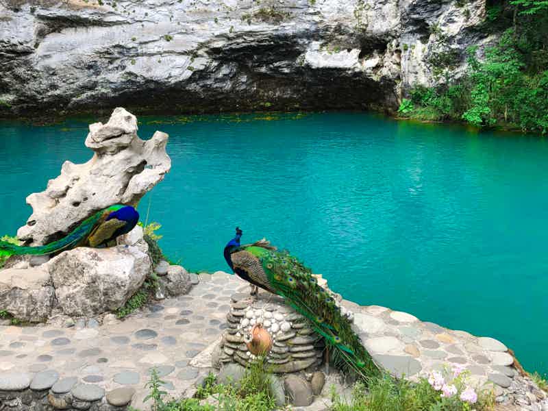 «От Гагры до озера Рица» — индивидуальная экскурсия в Абхазию на 1 день  - фото 4