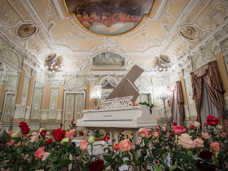 Музыкальный салон «Русские Музыкальные Сезоны» в Особняке Елисеевых — фото 6, Санкт-Петербург | Покатаем
