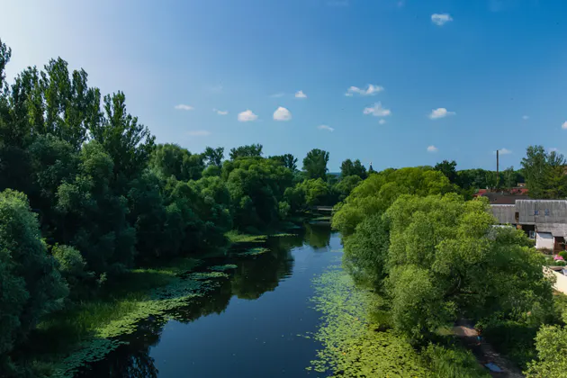 Старинный Переславль — сборная пешеходная экскурсия — фото 3