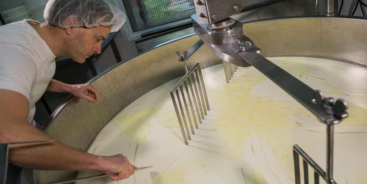 Мастер-класс и дегустация сыров от марийских производителей - фото 2