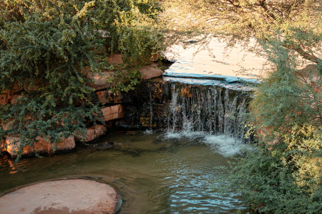 Виды Билет в Парк Крокодилов Дубая — встреча с древними хищниками