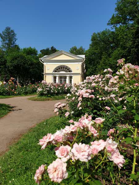 Павловск — «всё включено»: дворец, парк и обзорная по городу - фото 4